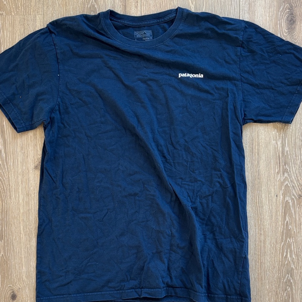 Patagonia Blue Short Sleeve Tee Classic Crew Neck